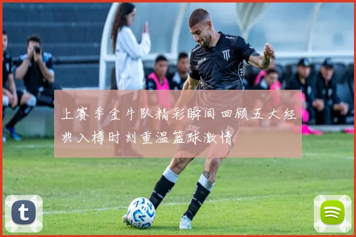 上赛季金牛队精彩瞬间回顾五大经典入樽时刻重温篮球激情