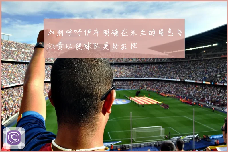 加利呼吁伊布明确在米兰的角色与职责以便球队更好发挥