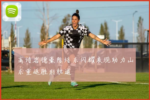 高诗岩德豪陈培东闪耀表现助力山东重返胜利轨道