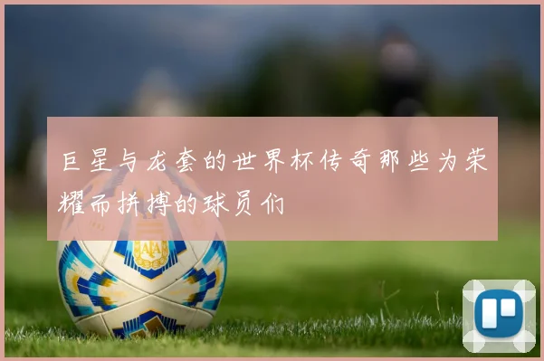 巨星与龙套的世界杯传奇那些为荣耀而拼搏的球员们